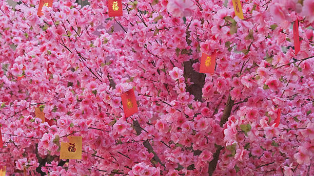 Chinese new year decoration peach flowers