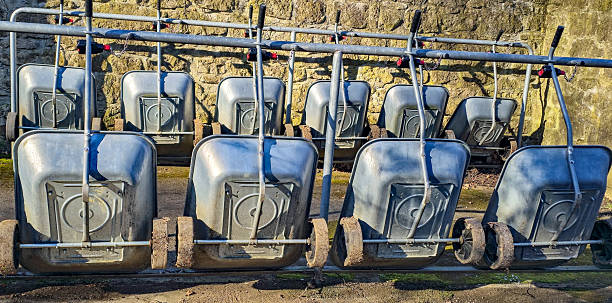 Several wheelbarrows parked upside down, ready for use at a cemetery.