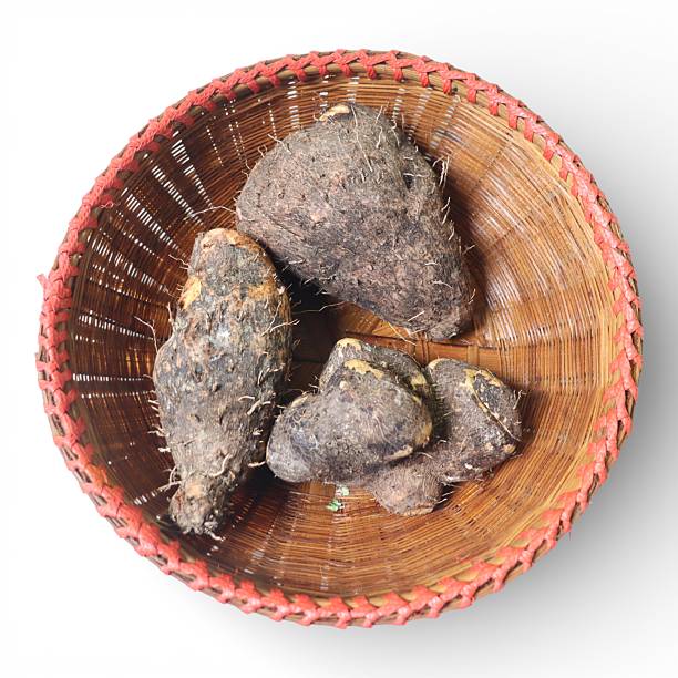 Yam or edible yam tuber - Dioscorea. healthy food