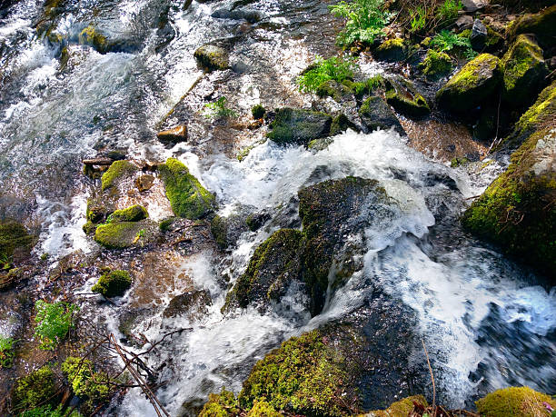 Mera river close-up high angle view , Lugo province, Galicia, Spain. Early springtime.