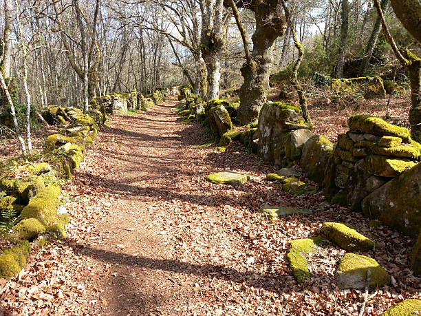 Footpath in Mera river area. Lugo province, Galicia, Spain. Camino de Santiago