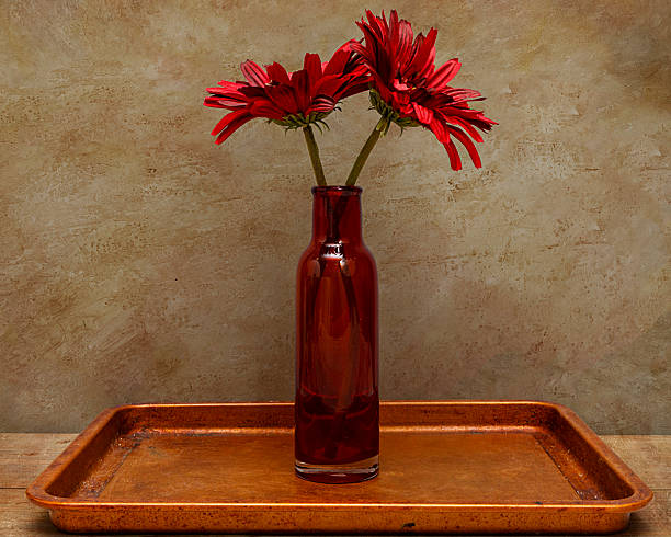 2 red Gerbera daisies in a tall red glass bottle on a vintage tray