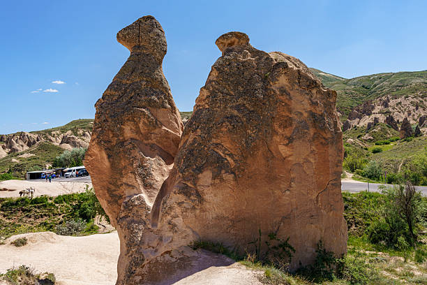 Devrent Valley displays prominent eroded formation approximately 5 meters high with unusual profile resembling animal head or creature in tan volcanic tuff in Cappadocia, Turkey. The weathered formation shows characteristic erosion creating distinctive silhouette against green hillside background, with stratified geological layers visible. Blue sky above, representing one of Devrent Valley's most photographed formations where the natural weathering has created a shape suggesting a camel, dolphin, or other creature, earning the valley its \