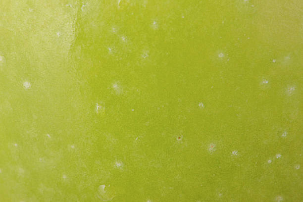 Green apple texture as a background macro photo