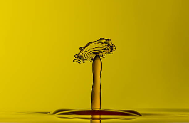 Water splash caught in action. Shot on Canon EOS 1Ds mark 3