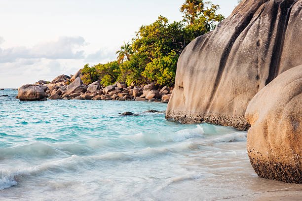 Turquoise waves lap white sand beside massive granite boulders, framed by lush palms and tropical vegetation on a serene, untouched Seychelles beach getaway