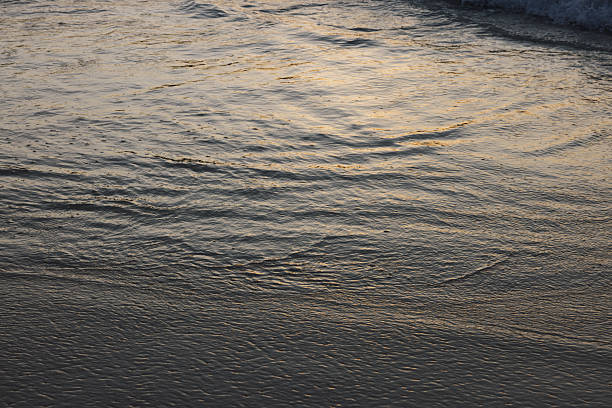 Gentle ocean waves washing onto the wet sand of a tropical beach, reflecting the warm glow of the setting sun across the water's surface in the Seychelles