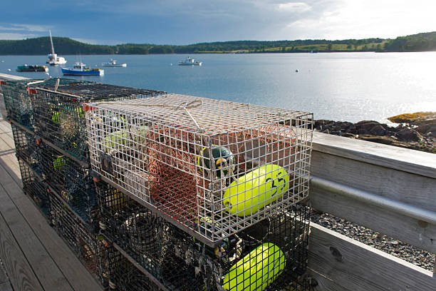 Lobster Traps on a dock with a harbor in the background - taken in Bartlett Narrows, Maine, USA