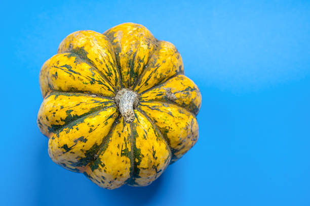 A single yellow pumpkin with green stripes and deep ridges is centered on a bright blue background, highlighting its natural texture and vibrant color contrast