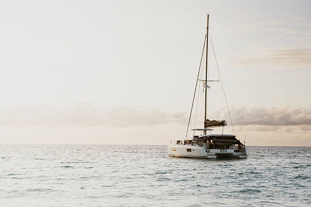 Catamaran sailing on calm tropical ocean water under a soft, golden sky, representing luxury travel, vacation, and a peaceful lifestyle during a beautiful sunset
