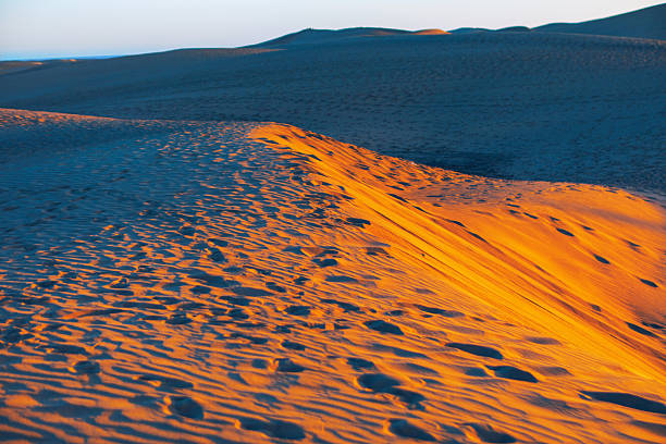 Sahara Desert captures the stunning light of dawn or dusk. Footprints mark the golden ripples, contrasting sharply with the deep blue shadows cast across the towering dunes