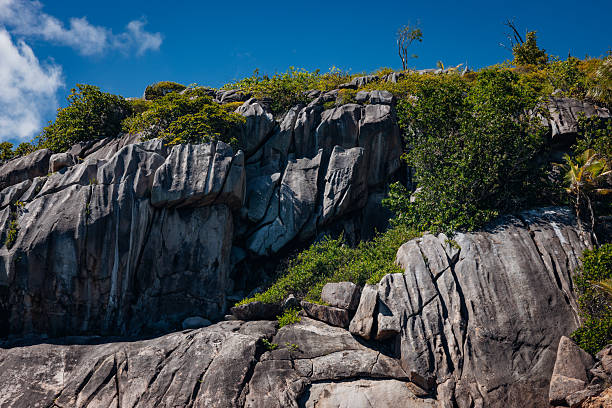 Rugged granite boulders draped in lush tropical vegetation against a vivid blue sky, showcasing La Digue's dramatic coastal rock formations and untouched island scenery