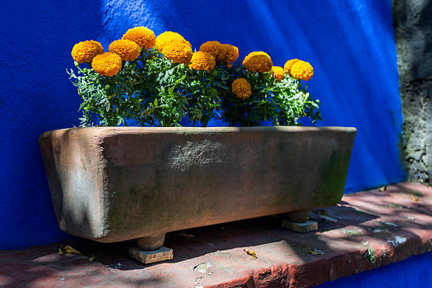 Many different bright multicolored ceramic bowls and cups handcrafted. Placement for gardening and walkways arrangement