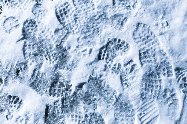 Cold weather background showing human activity outdoors. Trampled snowy path detail.