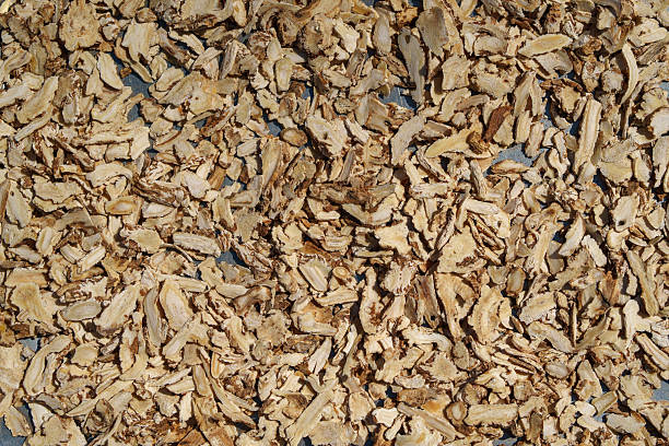 Close-up of Angelica sinensis root slices drying under hot sunlight, creating a natural herbal texture background. Also known as Dong Quai, this traditional medicinal herb is widely used in herbal remedies, wellness products, and Asian traditional medicine, photographed with natural light and detailed surface textures.