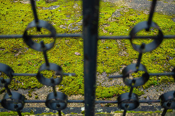 Close-up of a metal fence with circular elements, photographed against a soft green moss background. Shallow depth of field emphasizes texture, contrast, and rhythm between rigid metal and organic nature. Suitable for concepts of boundaries, protection, nature versus urban structure, and abstract backgrounds.