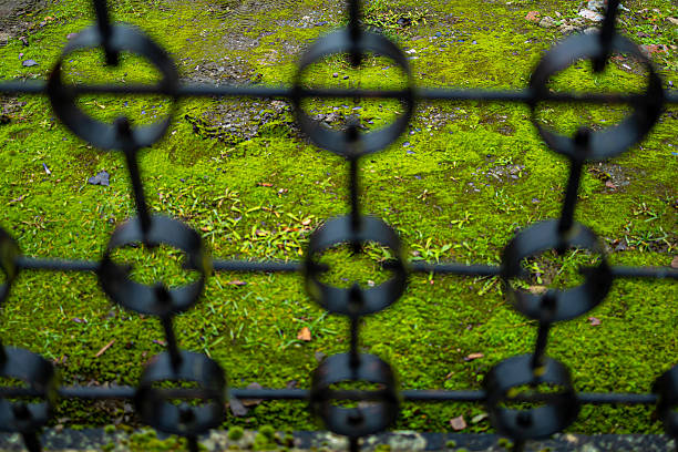 Close-up view of a metal fence with repeating circular elements set against a vivid green moss background. Shallow depth of field highlights contrast between rigid urban structure and soft organic nature. Ideal for abstract concepts, urban nature themes, and textured backgrounds.