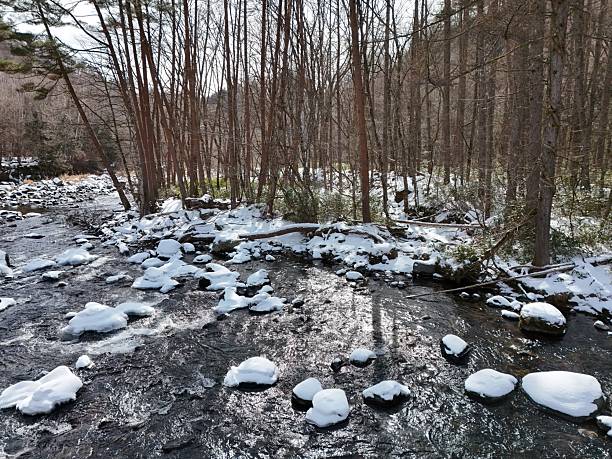 A snowy river with a few trees in the background. The snow is covering the ground and the water