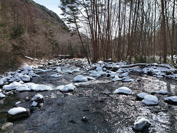 A river with snow on the ground and trees in the background. The snow is covering the rocks and the water