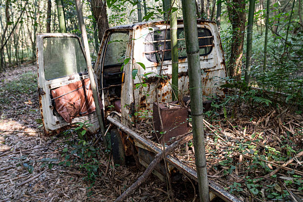 Abandoned Rusty Mini Truck in Bamboo Forest