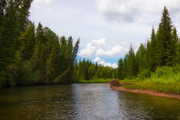 Summer landscape with river Azas. Russia. Siberia