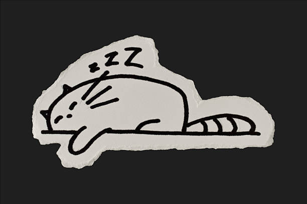 Black And White Vintage Ripped Paper Sleeping Cat Doodle