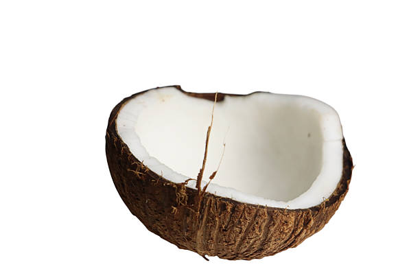 The image shows half of a coconut shell with a white interior and a brown husk The coconut is positioned with the curved side facing downwards and the flat side facing upwards The white interior of the coconut is visible and the brown husk is rough and textured The background of the image is plain white