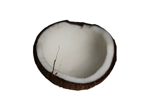 A cracked coconut displays its white flesh and brown shell pieces on a plain white background. The freshness of the coconut is evident as it sits cut open, showcasing its texture and natural beauty.