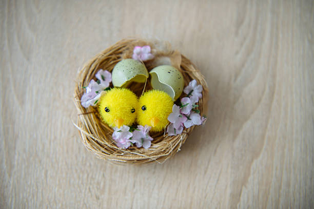 A pair of small yellow fluffy Easter chicks sitting in a straw nest with broken green eggshells and flowers. Festive spring composition on a white floral pattern background and wooden texture. Perfect for Easter greeting cards, holiday promotions, and seasonal decor.