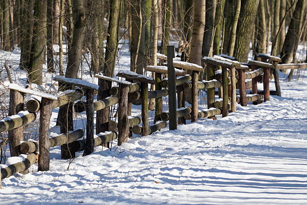 Detailed view of winter wooden fence.