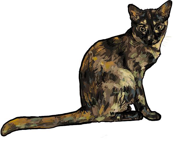 Drawing animal hand drawn cat portrait with long tail colorful fur pattern simple background digital art charm