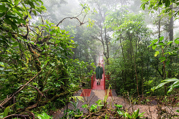 Monteverde Cloud Forest, Costa Rica: The Monteverde Cloud Forest Reserve is a Costa Rican reserve located along the Cordillera de Tilarán within the Puntarenas and Alajuela provinces. Named after the nearby town of Monteverde and founded in 1972. The Reserve consists of over 10,500 hectares (26,000 acres) of cloud forest. It draws roughly 70,000 visitors a year.