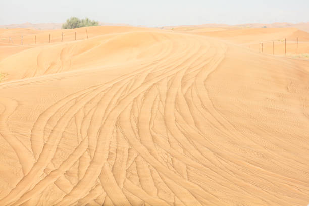 Authentic regional dunes revealed through wind-shaped sand surface with flowing vehicle tracks near Dubai, UAE. For scenic background assets.