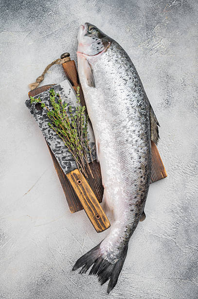 Raw whole Atlantic salmon Salmo salar with herbs and kitchen cleaver. Premium Norwegian seafood on light background with copy space.