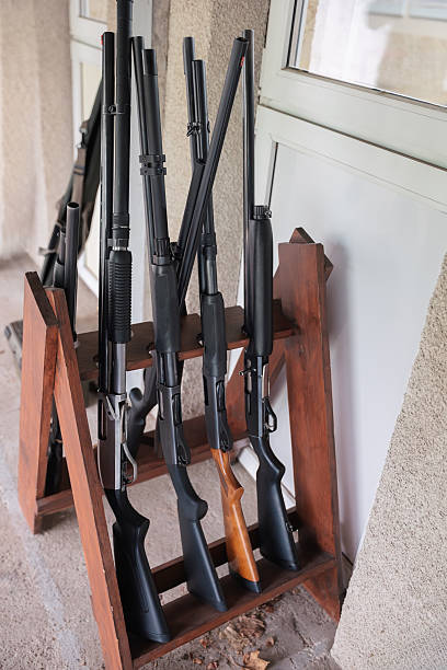 Firearms with various stocks on a wooden gun rack