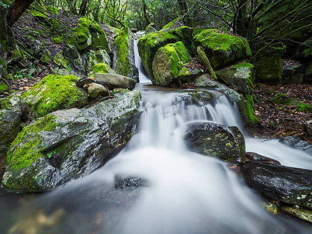 Small waterfall in a mountain stream in autumn in a natural setting