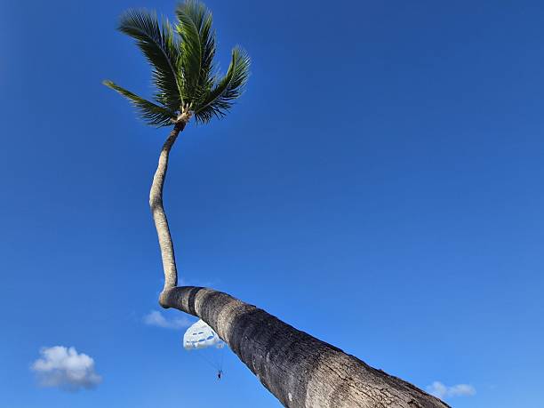 Punta Cana, Dominican Republic.