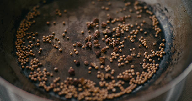 Mustard seeds are a significant source of vegetable oil globally, ranking after soybean and palm oil