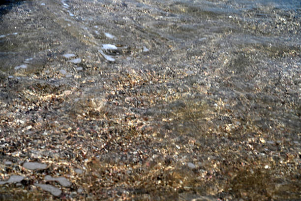 \\Close-up view of small pebbles and sand visible beneath clear coastal water in Playa Bruja, Mazatlán, Sinaloa, Mexico. The image highlights transparency, texture, and natural layering beneath gentle wave action, creating an abstract yet organic seaside composition.Keywords: clear water, pebbles, sand, underwater texture, coastal detail, Mazatlán, Mexico, shoreline, beach patterns, ocean clarity, natural abstraction, travel photography