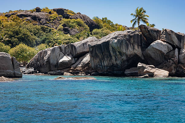 A low-angle shot of weathered granite cliffs at Anse Louis on Mahé Island, Seychelles. The rock face displays vertical erosion patterns and varying mineral coloration, ranging from dark grey to orange-brown. The summit and crevices are populated with lush tropical trees and palm species, including the endemic palms of the Seychelles.
