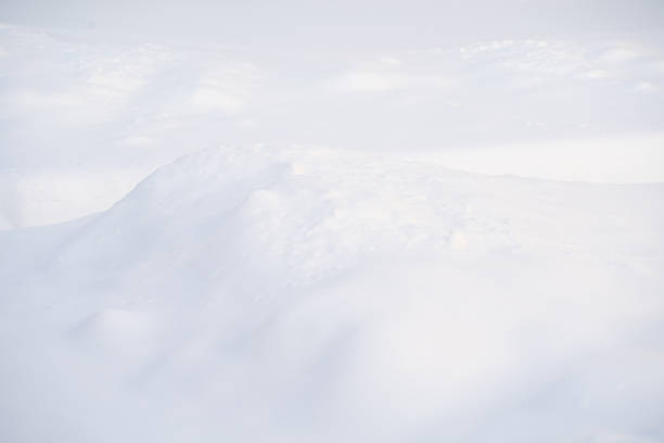 a snow-covered field and a path in a snowdrift next to a wooden fence