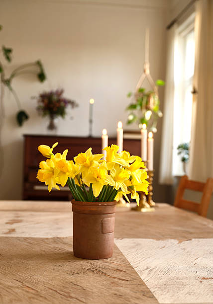 Vivid yellow daffodils (Narcissus) bloom in a simple terracotta pot placed on a rustic wooden table. In the background, candles glow in a brass centerpiece, adding warmth to a cozy Danish dining room. Natural light from a window enhances the inviting, homely atmosphere and springtime charm.