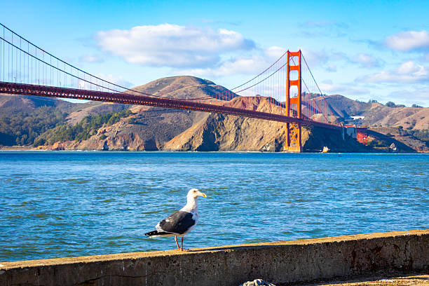 Beautiful panoramic skyline view of downtown San Francisco seen from Torpedo Wharf shoreline across the bay