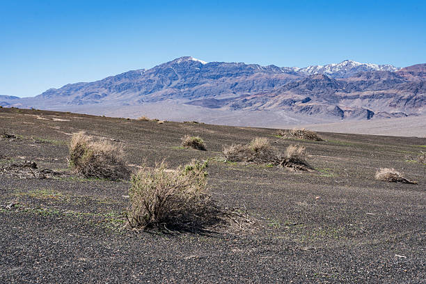 The road up to Ubehebe Crater in Death Valley National Park in California.