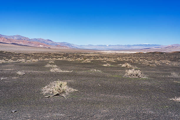 The road up to Ubehebe Crater in Death Valley National Park in California.