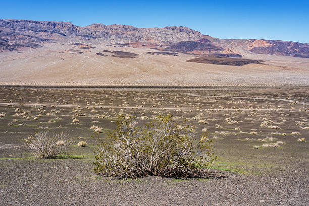 The badlands in Death Valley National Park in California, the lowest and hottest place on earth.