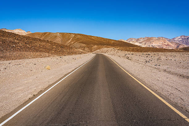 Twenty mules team canyon desert California