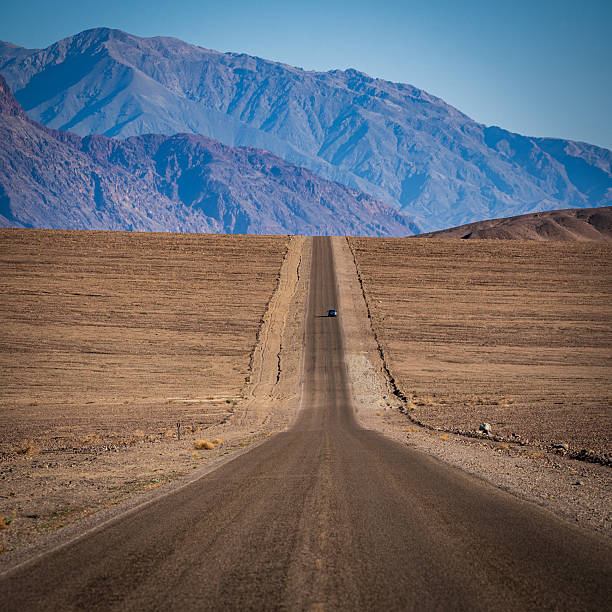 Twenty mules team canyon desert California