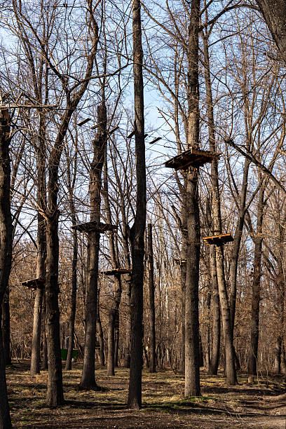 An aerial adventure park or ropes course set among tall, bare trees in a forest. Wooden platforms and obstacles are visible high in the canopy, ready for climbing and recreation on a bright, sunny day