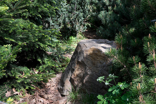 Arboretum in Tesárske Mlyňany, Slovakia